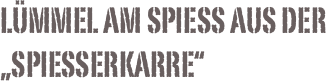 Lümmel am Spiess aus der „Spiesserkarre“
